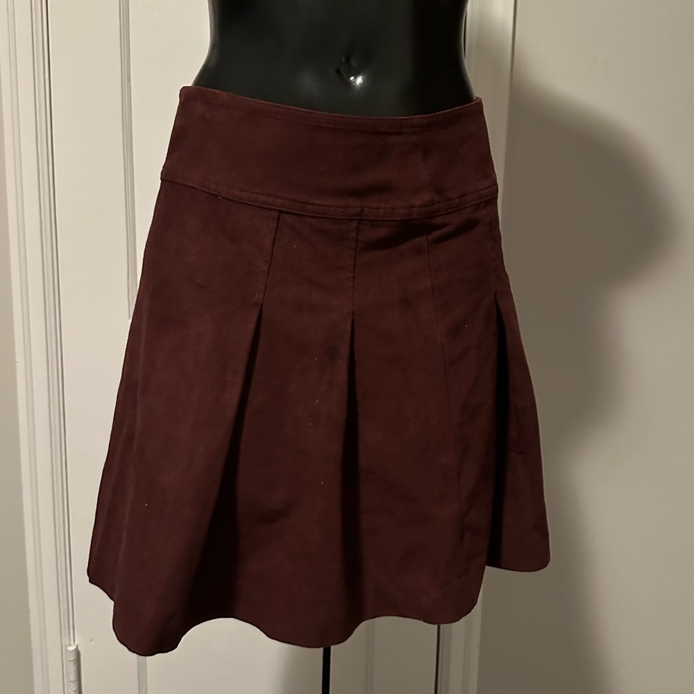 Pleated Skirt